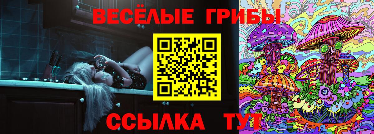 Галлюциногенные грибы мицелий  сколько стоит  Искитим  Вход с VPN 