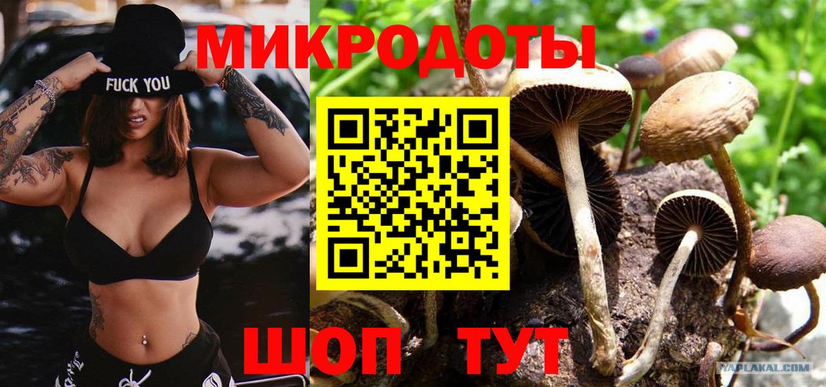 Псилоцибиновые грибы MAGIC MUSHROOMS Искитим