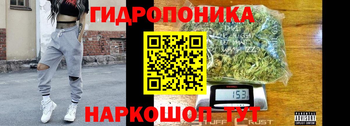 Искитим  Бошки Шишки сатива  Каннабис сатива  Конопля Bruce Banner  Бошки Шишки сатива  Вход с VPN 